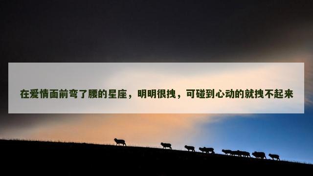 在爱情面前弯了腰的星座，明明很拽，可碰到心动的就拽不起来