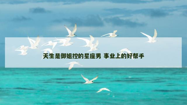 天生是御姐控的星座男 事业上的好帮手