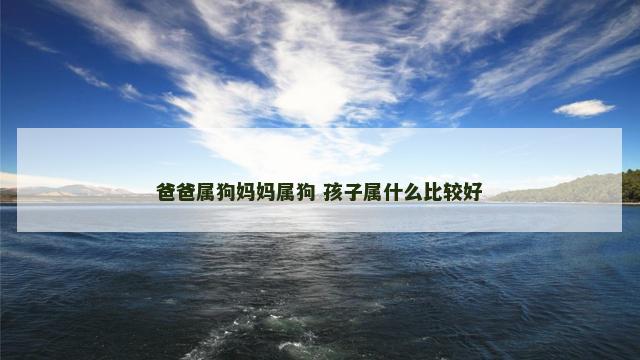 爸爸属狗妈妈属狗 孩子属什么比较好