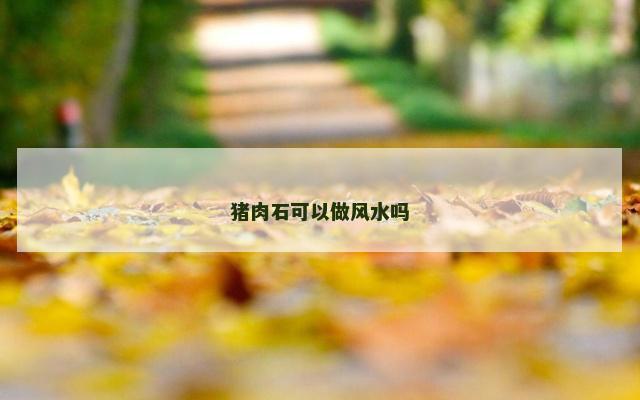 猪肉石可以做风水吗