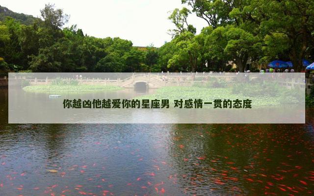 你越凶他越爱你的星座男 对感情一贯的态度