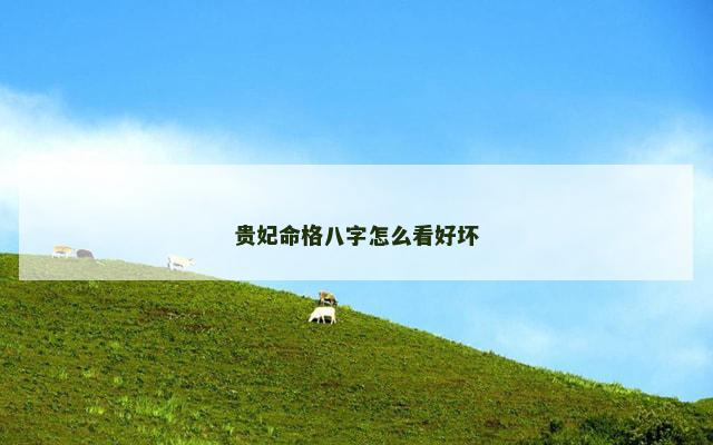 贵妃命格八字怎么看好坏
