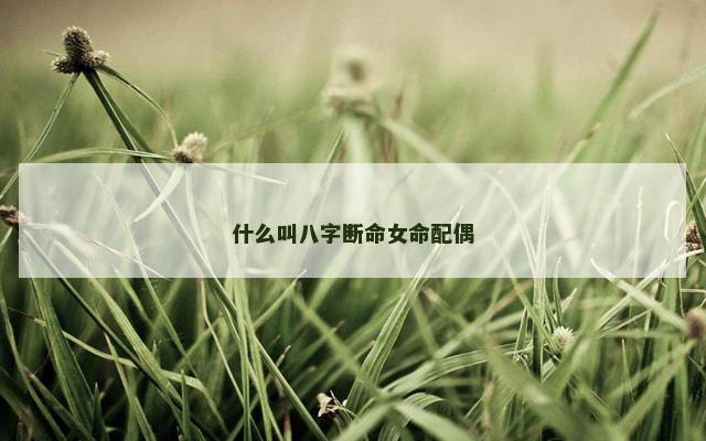 什么叫八字断命女命配偶
