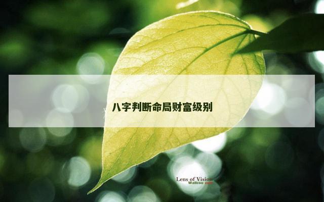 八字判断命局财富级别