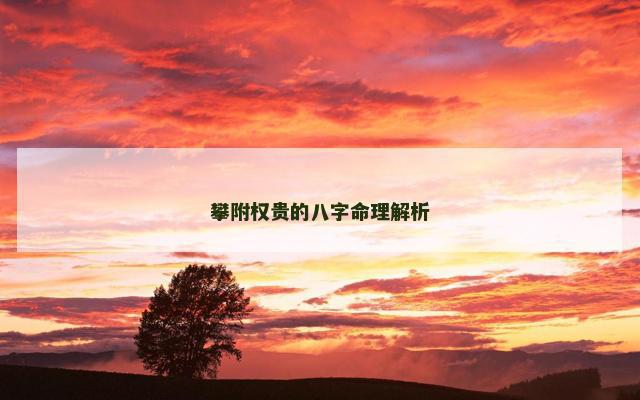 攀附权贵的八字命理解析