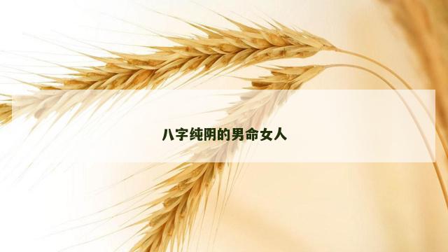 八字纯阴的男命女人