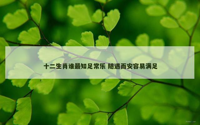 十二生肖谁最知足常乐 随遇而安容易满足