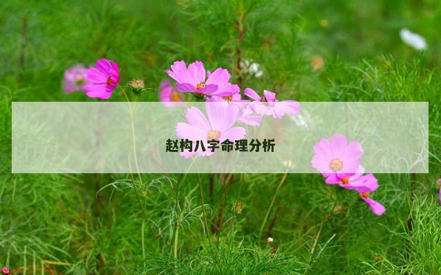 赵构八字命理分析