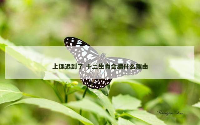 上课迟到了 十二生肖会编什么理由