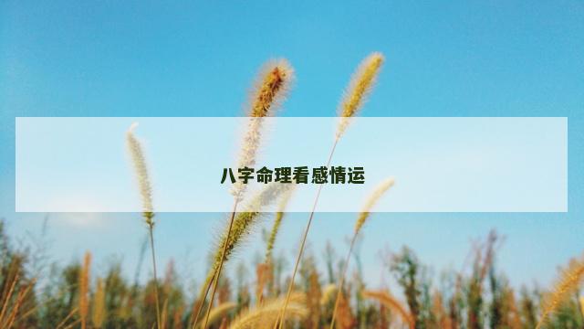 八字命理看感情运
