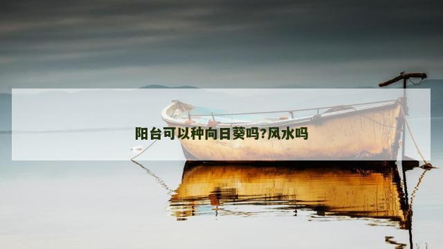 阳台可以种向日葵吗?风水吗