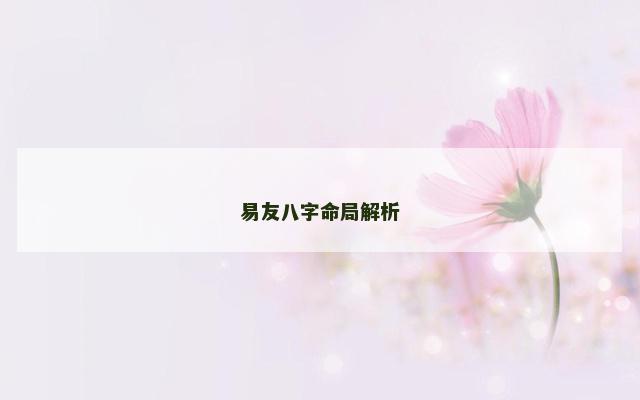 易友八字命局解析