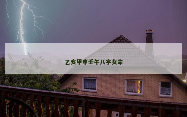 乙亥甲申壬午八字女命