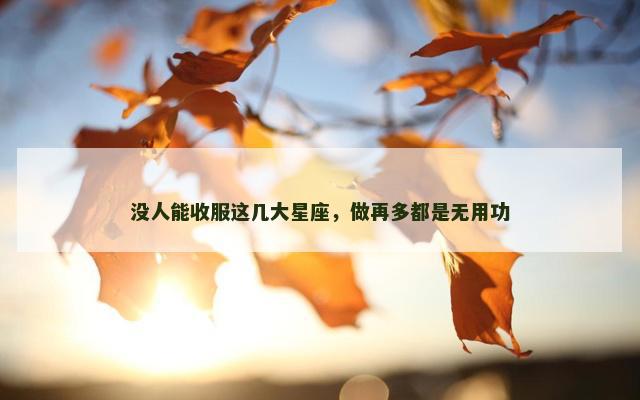 没人能收服这几大星座，做再多都是无用功