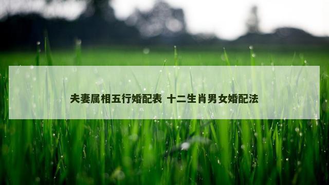 夫妻属相五行婚配表 十二生肖男女婚配法