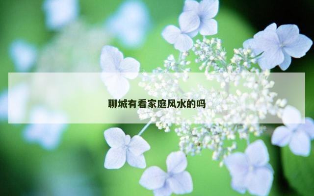聊城有看家庭风水的吗