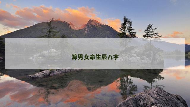 算男女命生辰八字