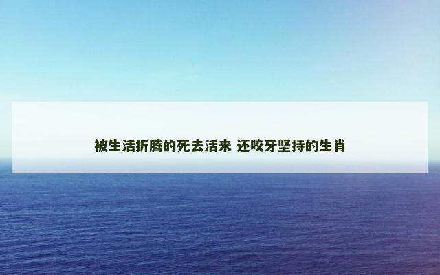 被生活折腾的死去活来 还咬牙坚持的生肖