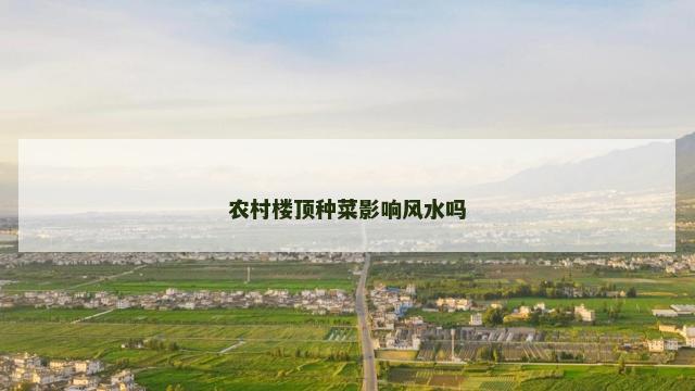 农村楼顶种菜影响风水吗