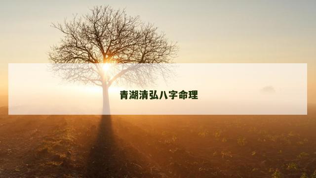 青湖清弘八字命理