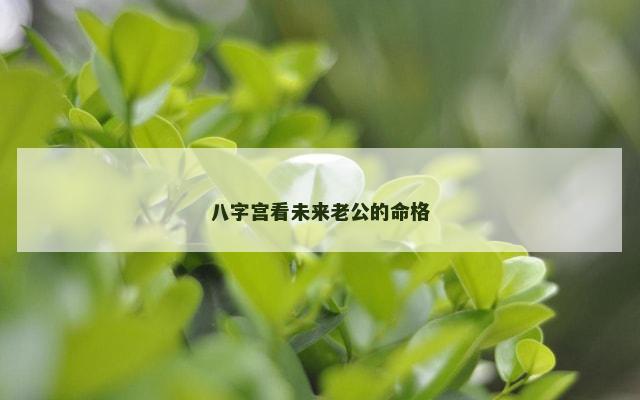 八字宫看未来老公的命格