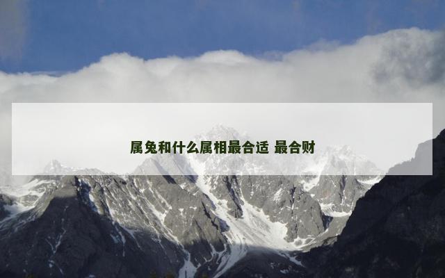属兔和什么属相最合适 最合财
