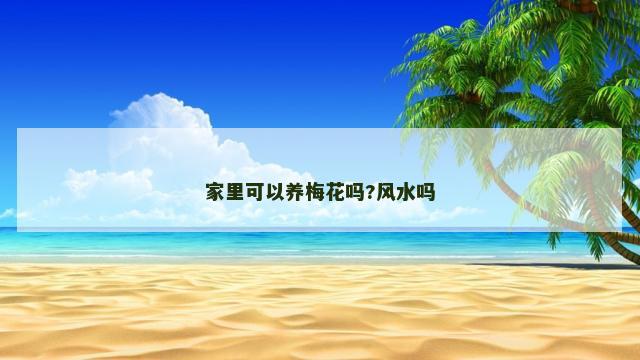 家里可以养梅花吗?风水吗