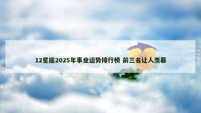 12星座2025年事业运势排行榜 前三名让人羡慕