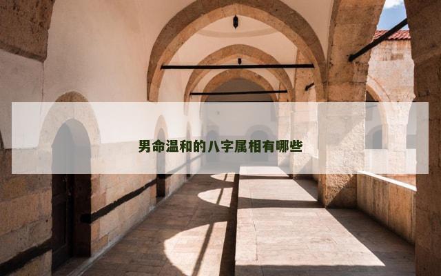 男命温和的八字属相有哪些