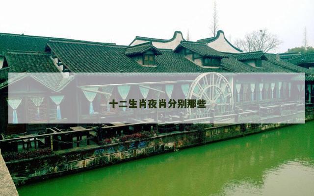 十二生肖夜肖分别那些