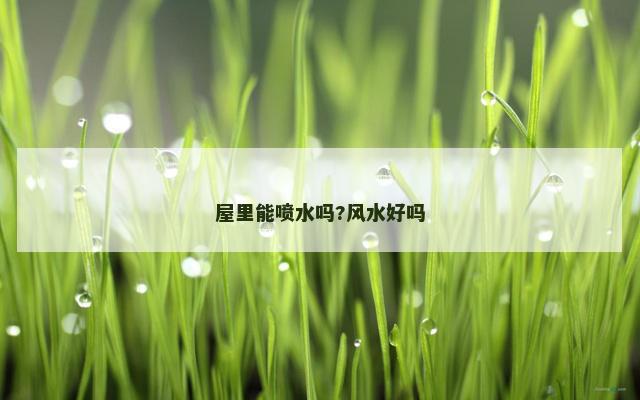 屋里能喷水吗?风水好吗