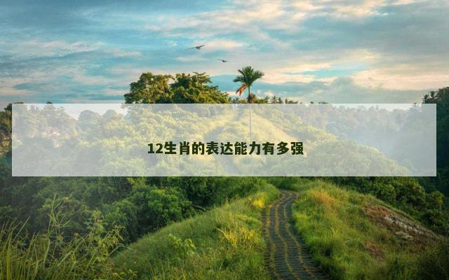 12生肖的表达能力有多强