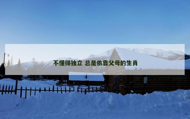 不懂得独立 总是依靠父母的生肖