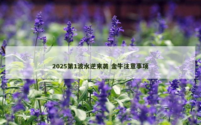 2025第1波水逆来袭 金牛注意事项