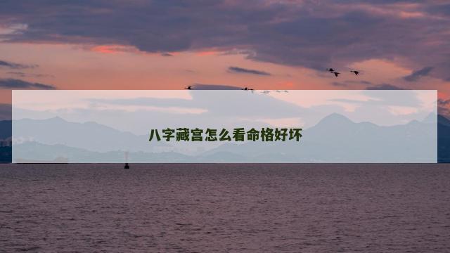 八字藏宫怎么看命格好坏