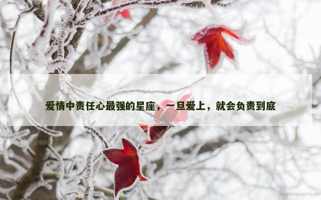 爱情中责任心最强的星座，一旦爱上，就会负责到底