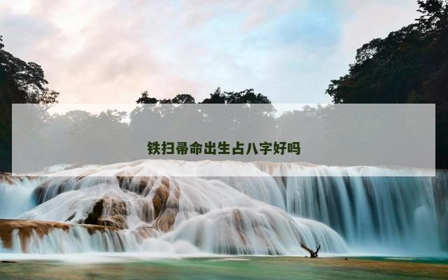 铁扫帚命出生占八字好吗