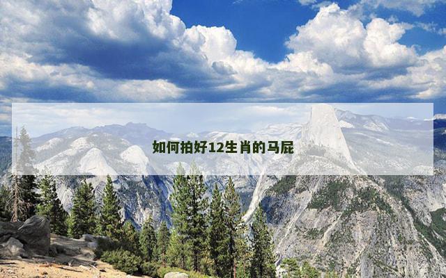 如何拍好12生肖的马屁