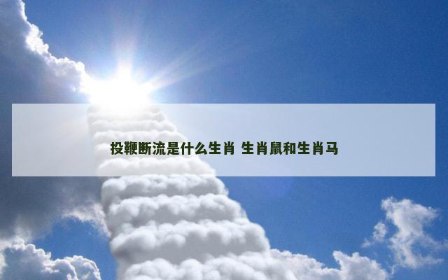 投鞭断流是什么生肖 生肖鼠和生肖马