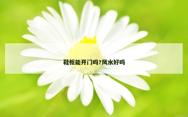 鞋柜能开门吗?风水好吗