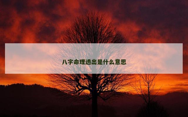 八字命理透出是什么意思