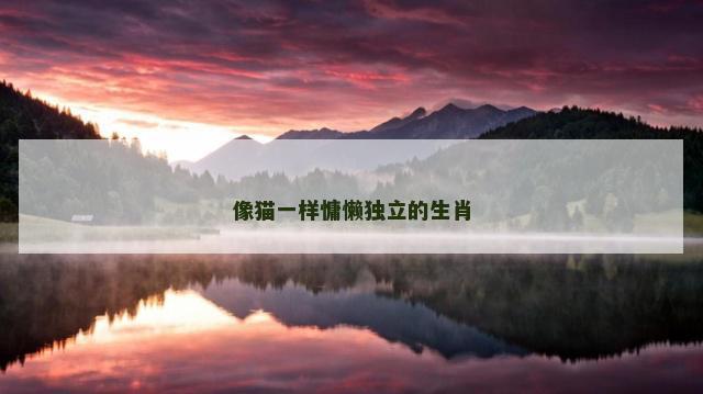像猫一样慵懒独立的生肖