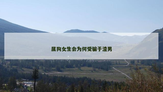 属狗女生会为何受骗于渣男