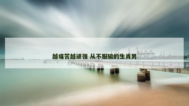 越痛苦越顽强 从不服输的生肖男
