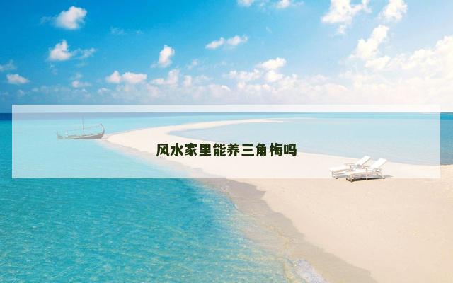 风水家里能养三角梅吗