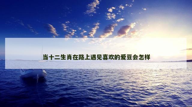 当十二生肖在路上遇见喜欢的爱豆会怎样