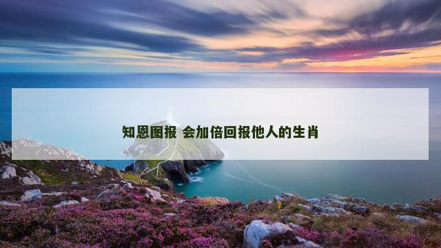 知恩图报 会加倍回报他人的生肖