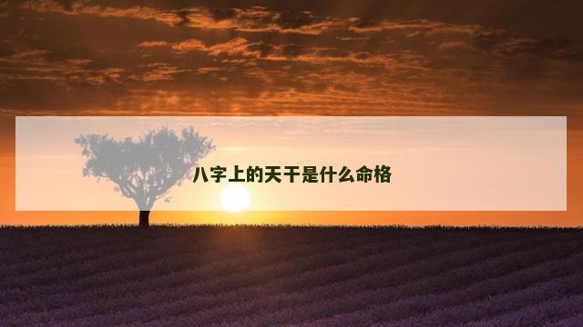 八字上的天干是什么命格