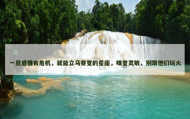 一旦感情有危机，就能立马察觉的星座，嗅觉灵敏，别跟他们玩火