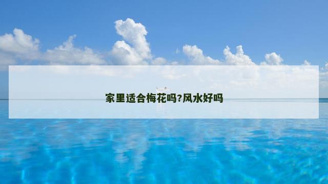 家里适合梅花吗?风水好吗